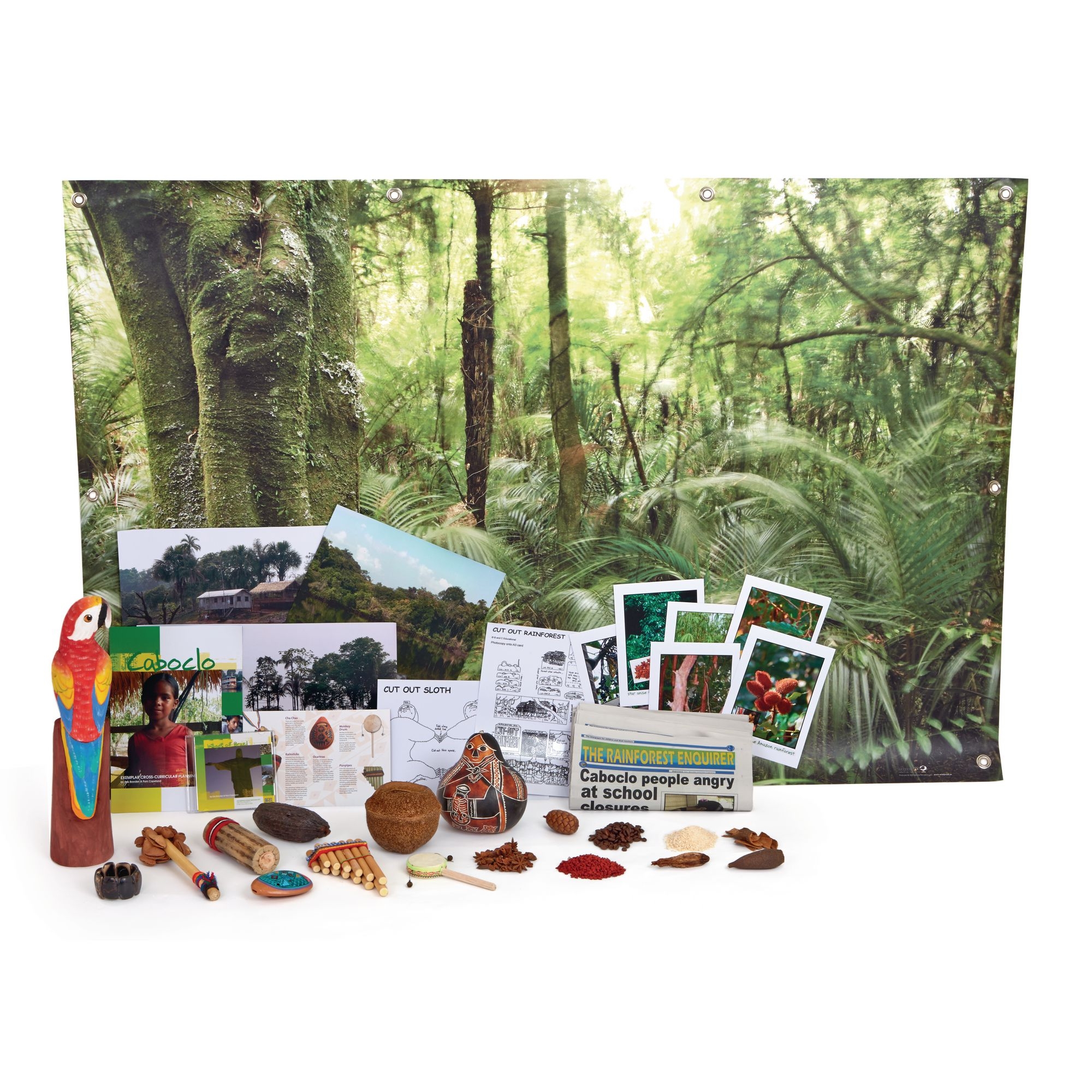 Amazonian Rainforest Box
